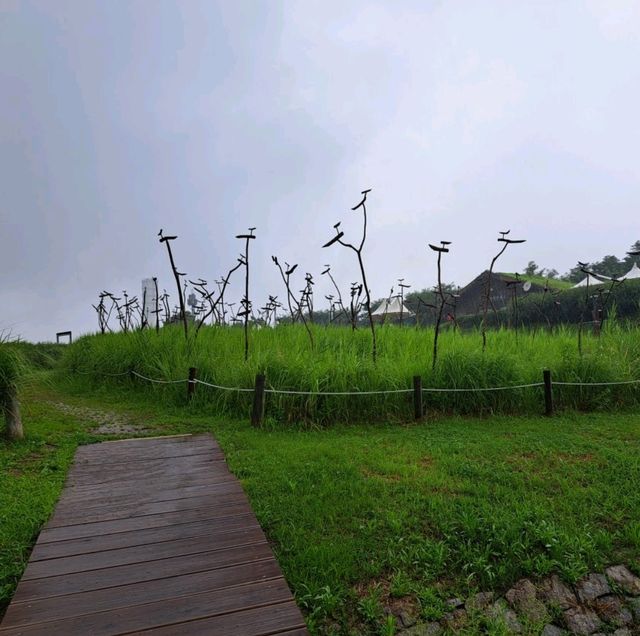 韓國景點📸天空公園🥰親親大自然⭐打卡熱點😍