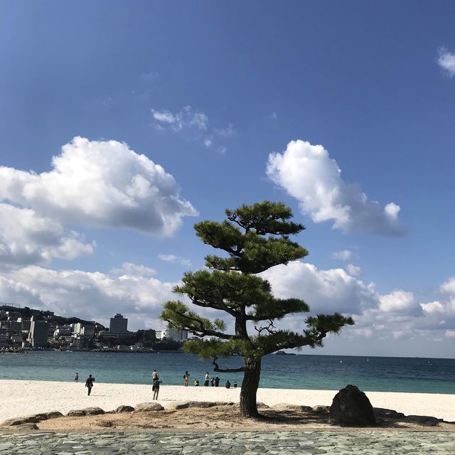 👭好想去多次·白濱♨️