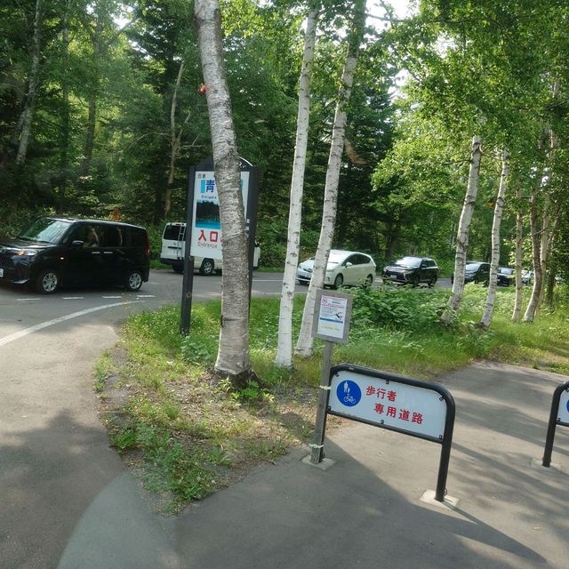 新興景點：北角道 青池