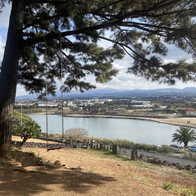 제주 코스추천, 수산봉과 이춘옥 고등어 쌈밥 💚