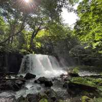 Trekking thru Oirase Stream to Lake Towada