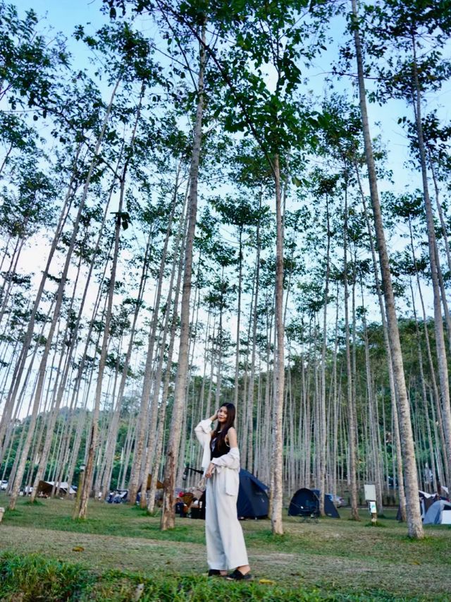หยุดยาวนี้ ชวนเพื่อนไปตั้งแคมป์ที่ "ณ วนา" กัน🍃