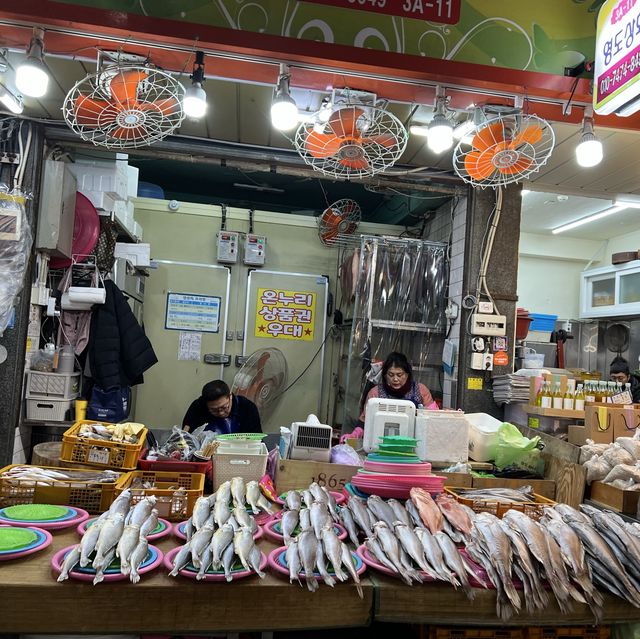 釜山で夜市いくならココ！富平カントン市場🇰🇷