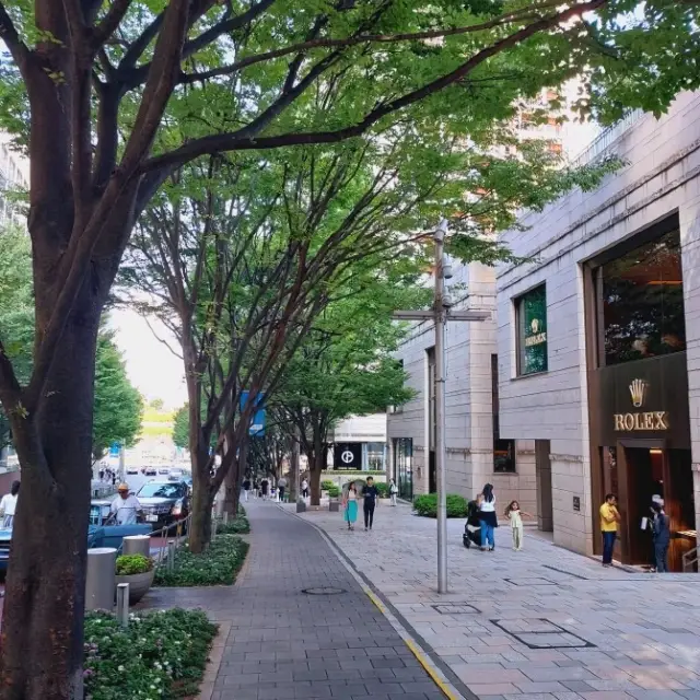 Ropponggi Hills, the Tokyo style of modernity