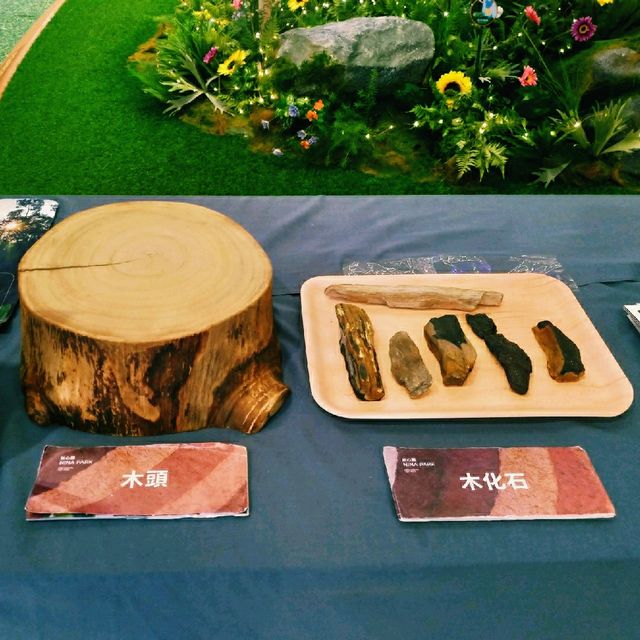 如心廣場  如 • 森之旅