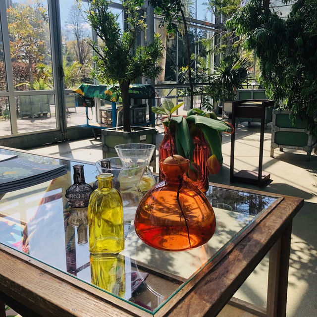 荷蘭🇳🇱 Hortus botanicus Leiden萊頓植物園🌵🪴室內篇