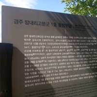경주여행에시작 신경주역에서 한바퀴
