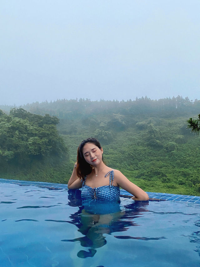 제주 원시림과 가장 가까이 있는 수영장 숙소🌴