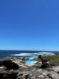 西澳的Rottnest Island：水清沙幼沙灘與微笑袋鼠的天堂！🏝️🌊🦘