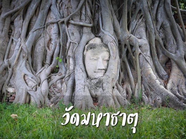 เที่ยววัดมหาธาตุ  อยุธยา 🙏🏻🙏🏻