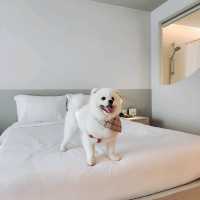 โรงแรม Pet Friendly สไตล์มินิมอล มู้ดดีเต็มสิบ!
