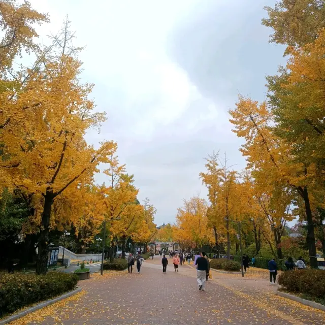 韓國必去免費親子遊 - 兒童大公園