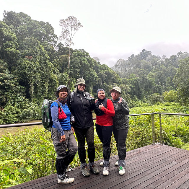 The amazing Danum Valley