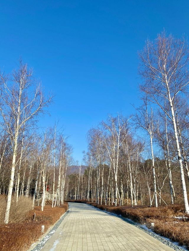 눈올때 가면 더 멋있는 강원도 원주 뮤지엄산💙❄️