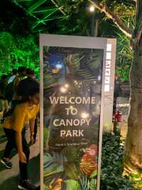 CNY Decor @Canopy Park Jewel Changi Airport