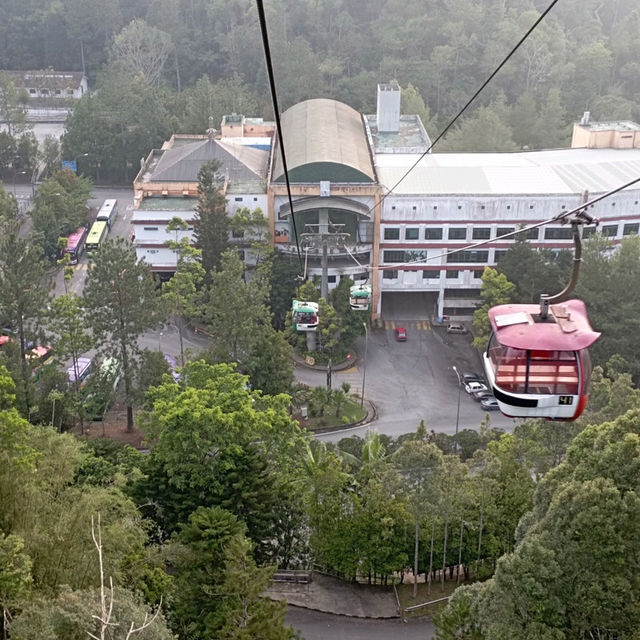 Viewing Natural Forest When Taking Skyway