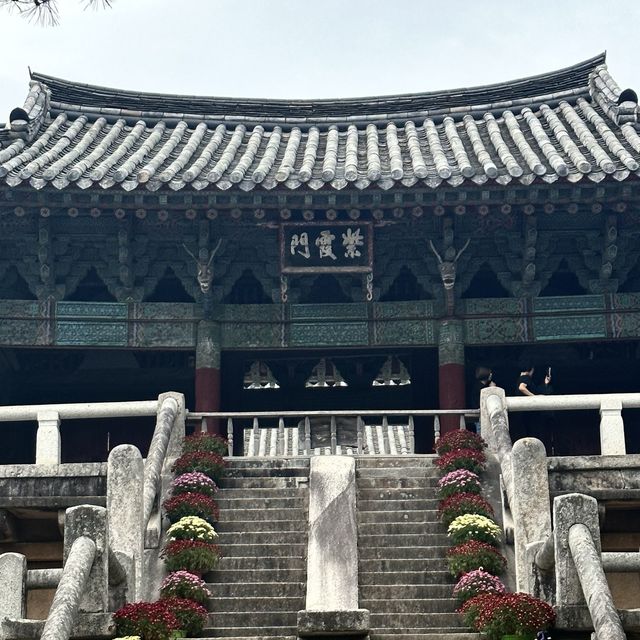 경주 유네스코세계문화유산 불국사의 위엄 