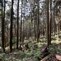 【神奈川】塔ノ岳道中の大倉尾根の山小屋たち