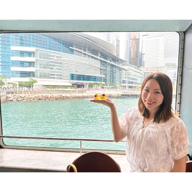 🛳洋紫荊維港遊🐥黃鴨熱潮