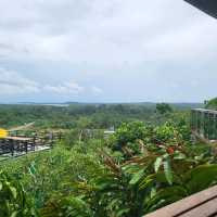 de Cliff Cafe - A Hilltop Bistro with Panaromic Views