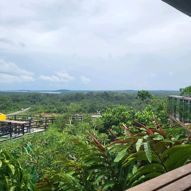 de Cliff Cafe - A Hilltop Bistro with Panaromic Views