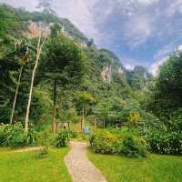 Amazing our jungle house 