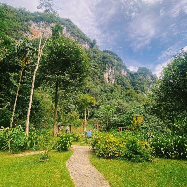 Amazing our jungle house 