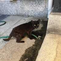 繁華街にある立派なお寺【萬行寺】