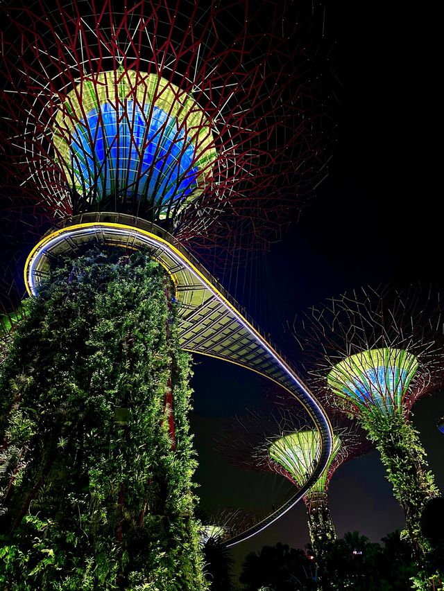 Stunning Supertrees at night✨