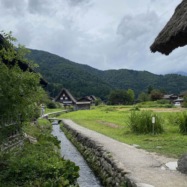 夏天的日本白川鄉