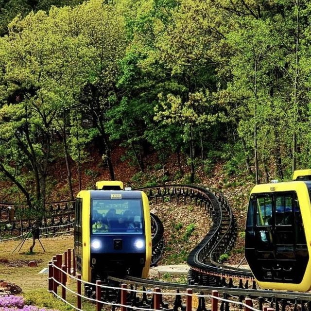 🚡 케이블모노레일을 타고 산수강산 절경을 감상할 수 있는 화개산!