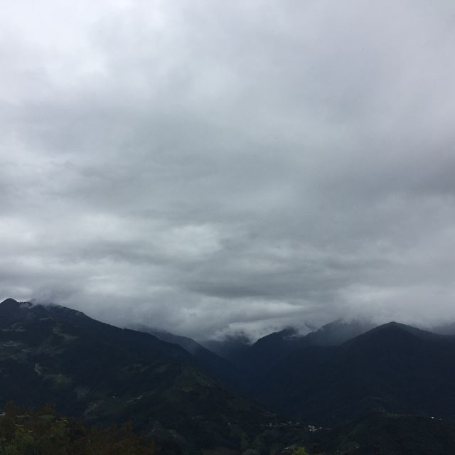 南投仁愛鄉  武嶺  雲霧 ☁️美