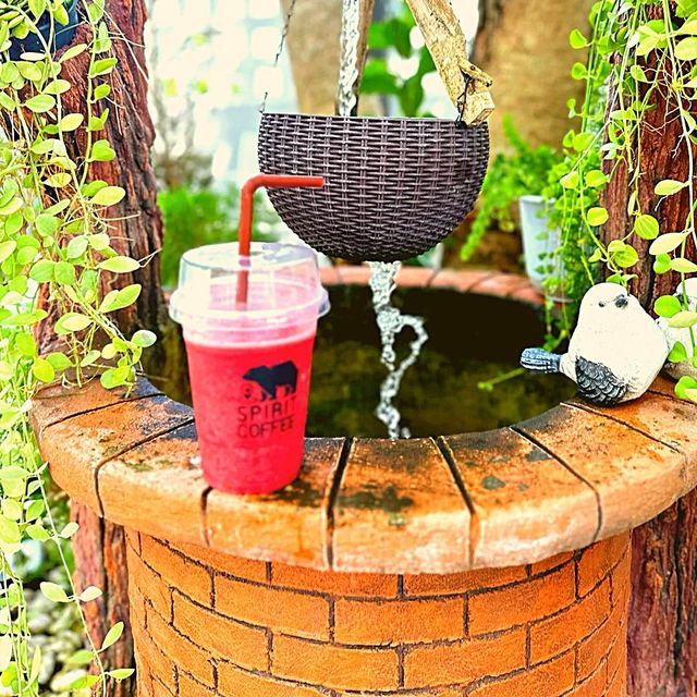 🧸Spirit Coffee ร้านลับกาแฟหมีดุ
