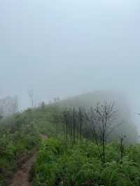 อุทยานแห่งชาติภูสอยดาว | Phu soi dao National Park