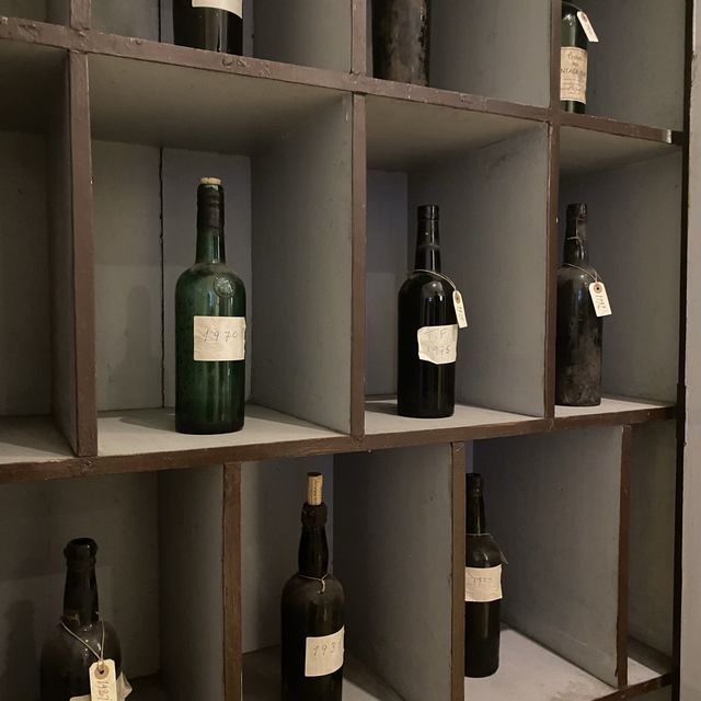 전통과 역사가 깊은 포르투 와인의 제조 공정을 볼 수 있는 곳, 테일러스 와이너리 투어🍷