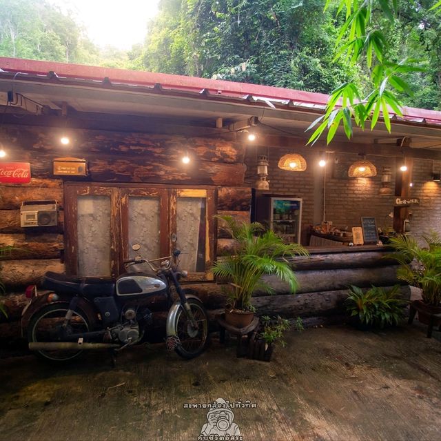 Bee forest บ้านแม่ลาย เชียงใหม่