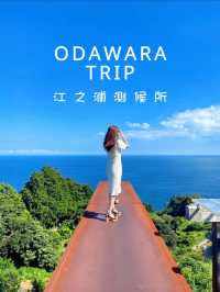 ここ知ってる？🫣🌿自然の中にある博物館🤍【神奈川県】