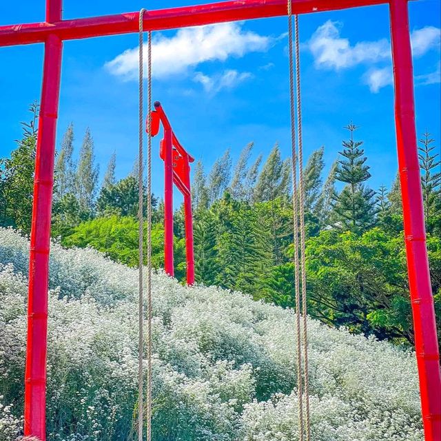 จุดเช็คอินแห่งใหม่เขาค้อ สวนดอกไม้&คาเฟ่🌸🌼