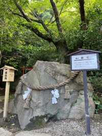 【島根県/物部神社】2023年行ってよかった！島根県の神社11