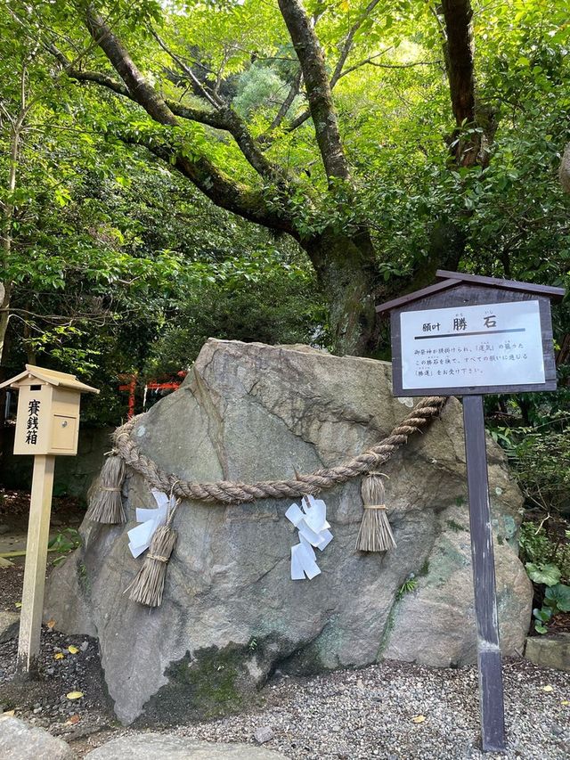 【島根県/物部神社】2023年行ってよかった！島根県の神社11