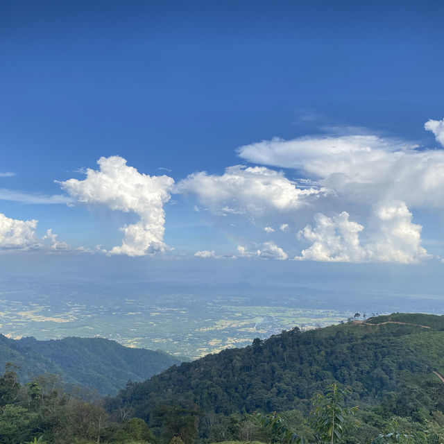 ไร่ละอองหมอก ภูทับเบิก⛰️