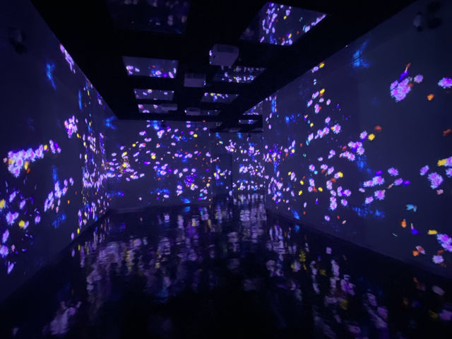 Immersive Winterland experience @ I-City