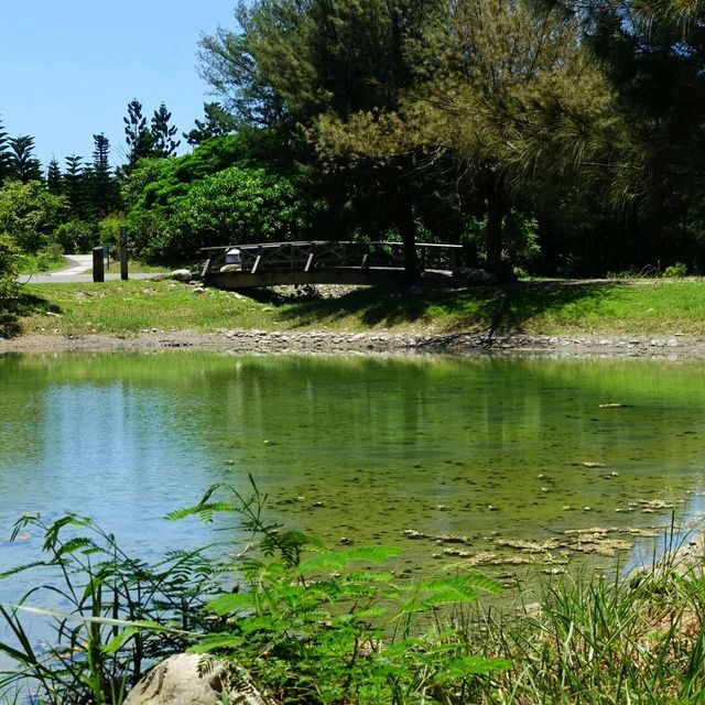 絕美密境~台東森林公園琵琶湖