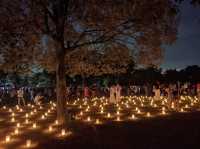 เทศกาลเทียนไขนาราโทคาเอะ Nara Tokae Festival