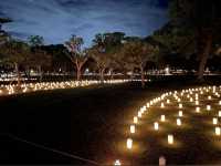 เทศกาลเทียนไขนาราโทคาเอะ Nara Tokae Festival