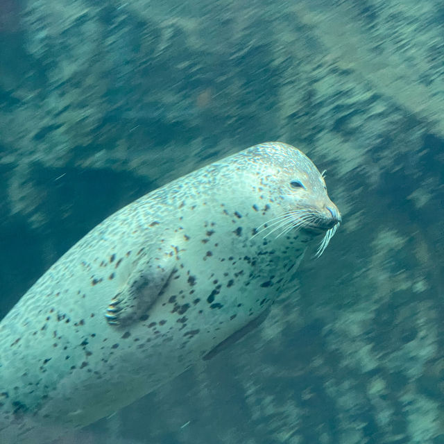 Asashiyama Zoo