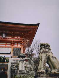 🇯🇵日本京都景點 X 清水寺👣終於看到歷經三年的整修完畢的清水寺！