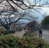 Chùa Chureito Yamanashi