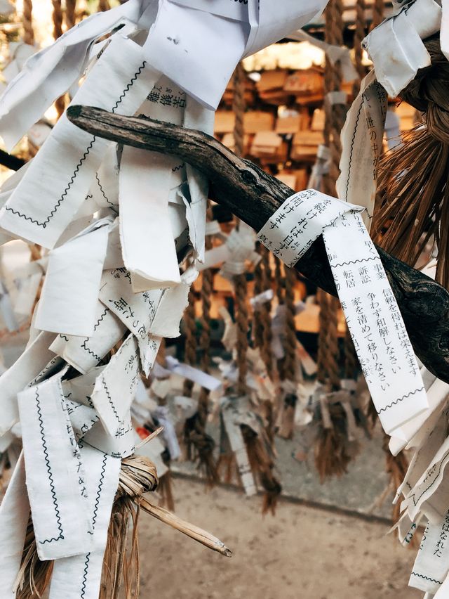 🇯🇵 日本大阪難波八阪神社👣朝聖大獅子殿的大嘴巴⛩️
