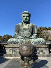 絶対行くべき鎌倉の大仏様